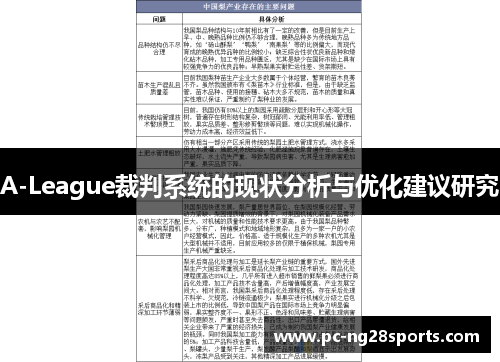 A-League裁判系统的现状分析与优化建议研究