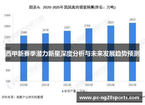 西甲新赛季潜力新星深度分析与未来发展趋势预测
