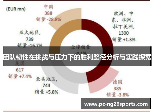 团队韧性在挑战与压力下的胜利路径分析与实践探索 团队韧性在挑战与压力下的胜利路径分析与实践探索