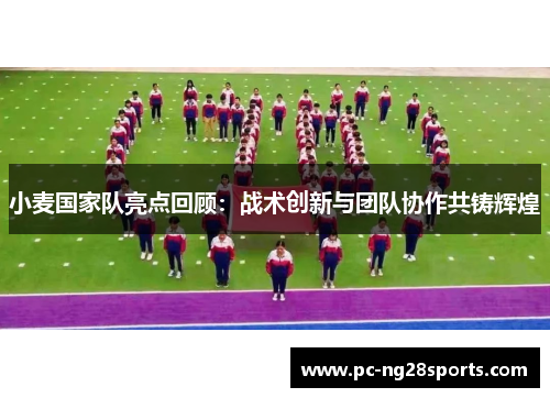 小麦国家队亮点回顾:战术创新与团队协作共铸辉煌 小麦国家队亮点回顾:战术创新与团队协作共铸辉煌